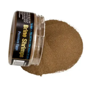 Discusfood Brine Shrimps Premium Artemia Eggs, 50 g Direktkauf